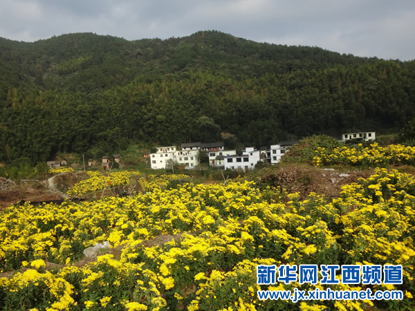 �����ϲ�����ʾվ������� ����ʤ��