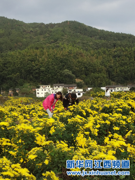 �ο��ڻʾջ����;�