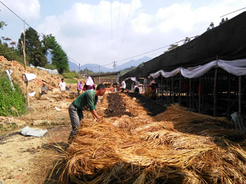 ��������������������˫��Ģ��ʾ����չ˳��