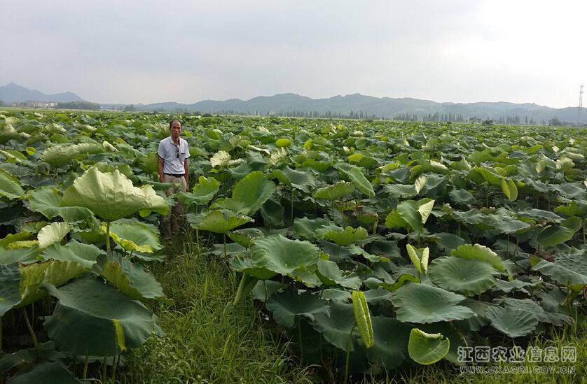 ������Ϫ��ź���ֻ����