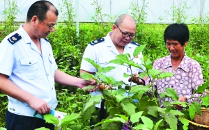 �㽭�����У���˰������ͥũ��