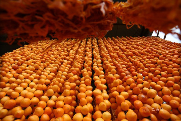 ���й����硱����ʡ��ƽ�����Ӵ���� ӳ���¸�·2