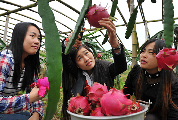 ���ϼκ��أ���ɫ��ҵ��ƶ ����Ⱥ����ƶ�¸�