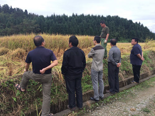 ������Ԫ���ٰ����͸߲������ֳ���