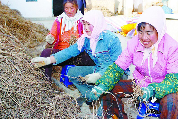 ���Ľ�������ԭ��ҩ��������ʩ