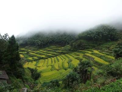 ����ˮԴ�������㽭�������ͷ��ũҵ�ṹ����ȡ���³�Ч