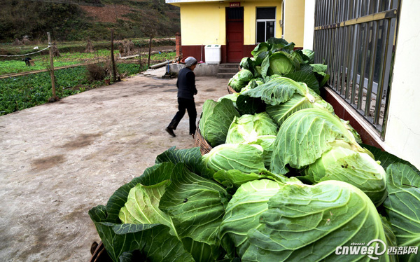 ������ǿ�ذ�ɽ��2000Ķ��ɽ�߲�ϲ�����