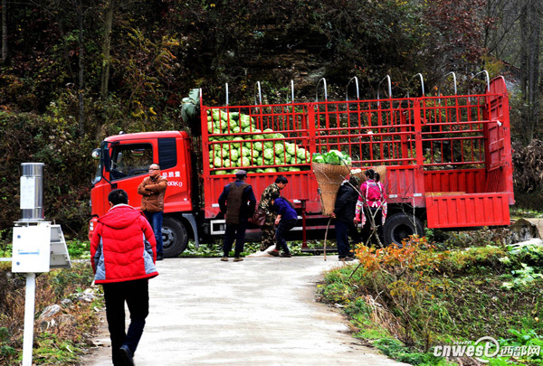 �����Ĵ������Ŀ��������չ���ǿ�ذ�ɽ��ؿڰӴ�ũ���ո�İ�����