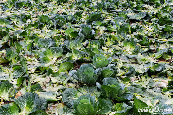 �ո��İ����˵�