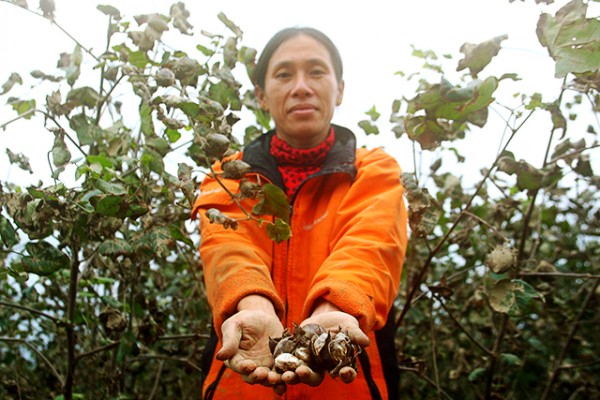 �����������������ʵ��磺����һ������ ũ������������