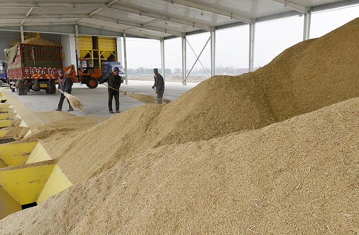 11��17�գ�������������ʳ���й�����Ա����ɹũ���������ʳ��