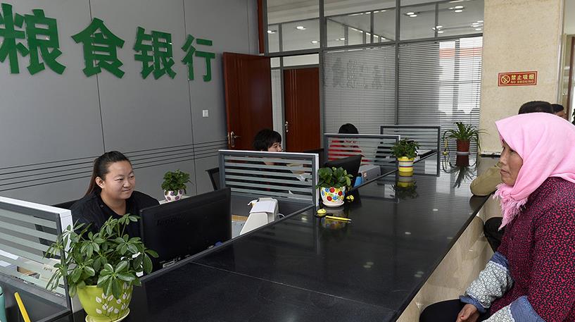 11��17�գ�����������������ũ�����������죨�ң�����ʳ������ʳ���У�������ʳ���ۡ�