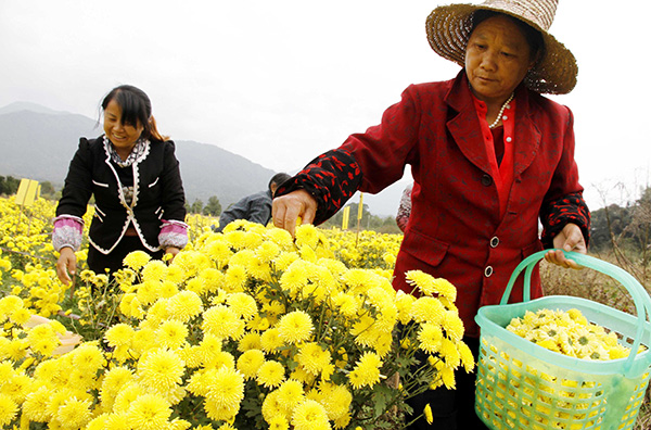 11��22�գ�����ʡ�����ظߺ����и۴�ũ���������л��ʾա�