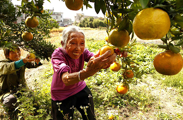 11��22�գ�����ʡ������������ʯ�´�ũ���������л��ո̡�