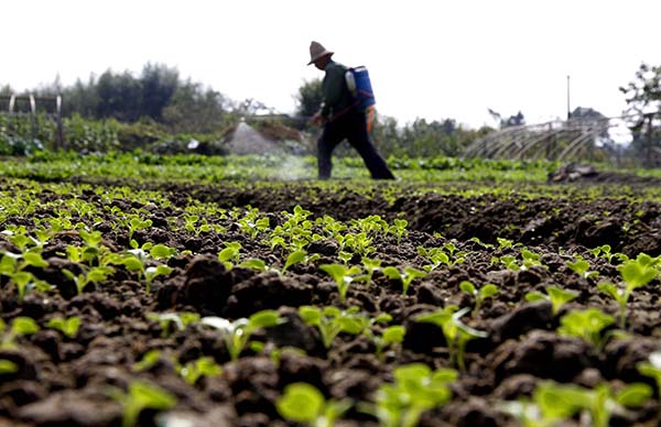 11��22�գ�����ʡ������˫Ϫ��˫Ϫ��ũ���ڸ������߲�����ʡ�