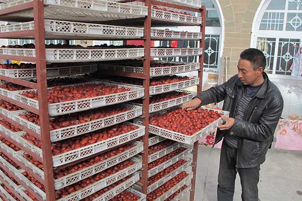 ɽ��ʡ����������������ˮ�۹��������ֲ�󻧸߳ɴ��ڼӹ����棨11��26���㣩��������ֲ��30Ķ���棬����������7Ķ��������ջ�