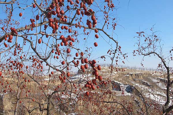 ��ɽ��ʡ����������������ˮ�۹��壬���յĺ������֦ͷ��11��26���㣩��