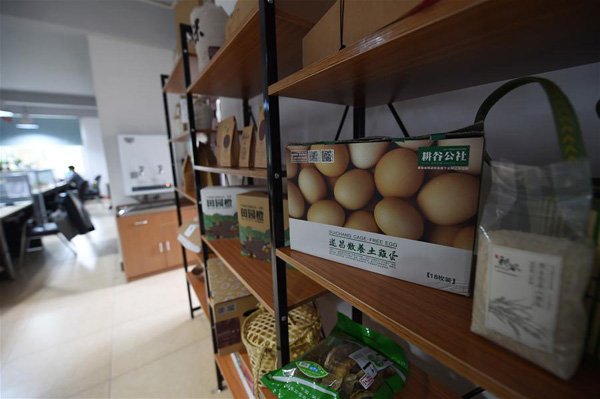 �㽭�Ͻֵ����������޹�˾�ڰڷ���ɫũ��Ʒ�Ļ��ܣ�12��2���㣩��