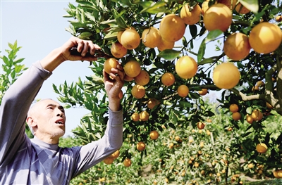 �Ĵ�����Ѫ��ϲ�����