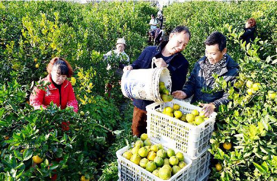 �㽭����������걸̲�ժæ