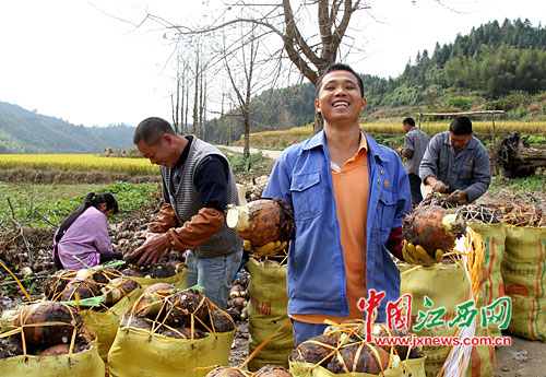 �����˻ƣ�700��Ķ���������