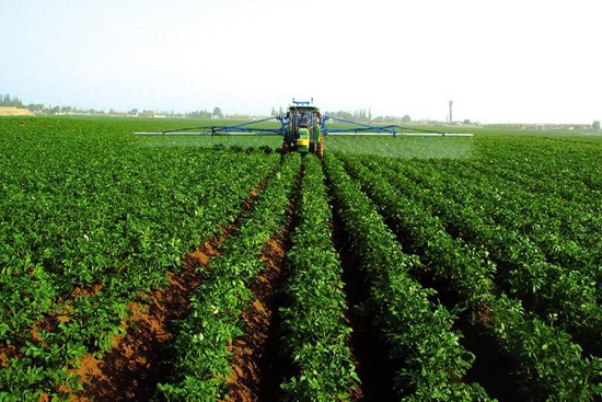 ������ȫ�̻�е�����溦�����ֳ�