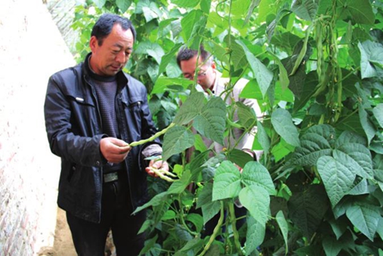 ������ũҵ����ר���ֳ�ָ����ֲ����