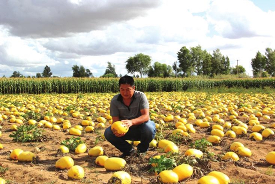 ������ũҵ��չ�ġ�����ģʽ�� ������չ�¸��