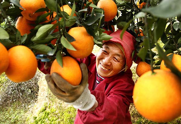 12��15�գ�����ʡ�����ظߺ����и۴�ƶ�����ܰ����ڲ�ժ�л���ȡ�