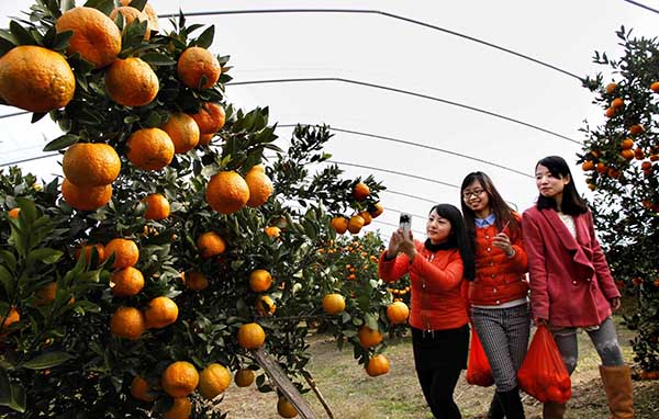 12��15�գ��ο��ڽ���ʡ�����ظߺ���ߺ����л��ո̹�԰���ժ���档