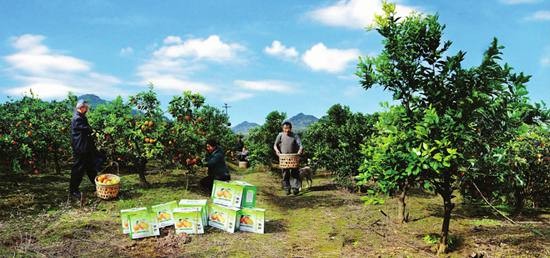 �л���ֲ �Ĵ�����������Ȼ����