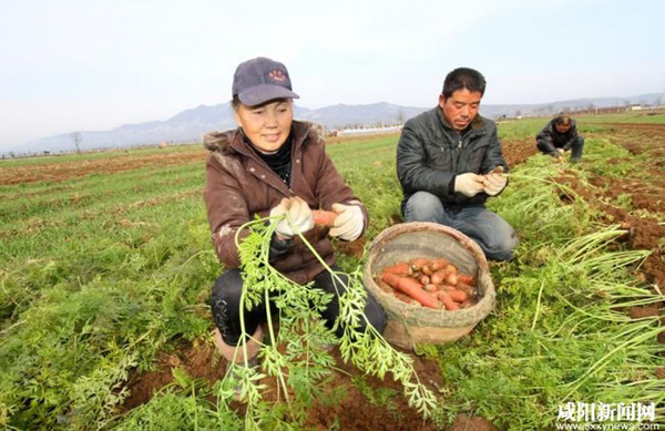 ����������800��Ķ���ܲ����������