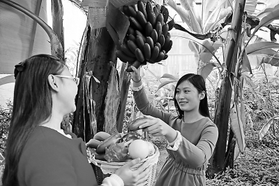 �����������ȴ���������Ʒ��