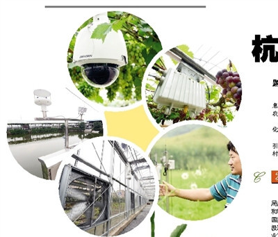 �㽭����ũҵ�������ǻ�֮����