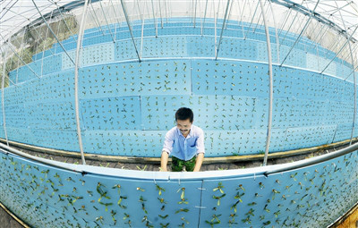 �㽭����ũҵ�������ǻ�֮����4