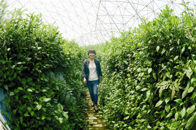 �㽭����ũҵ�������ǻ�֮����5