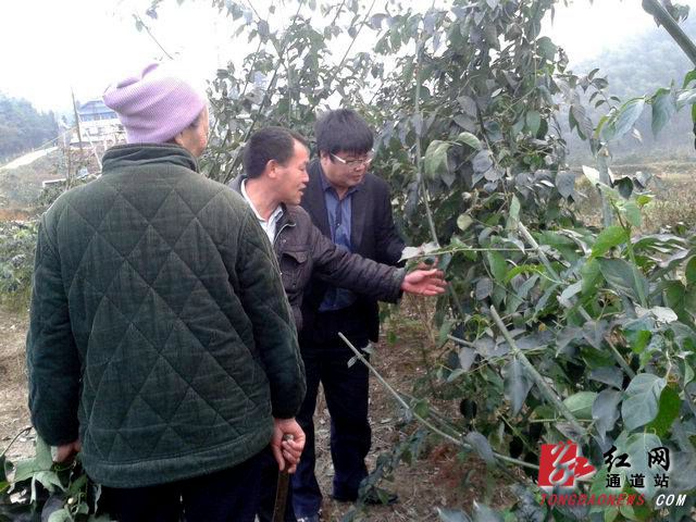 ����ͨ��ǧĶ����Ϊ�񡰹������¸�ͼ