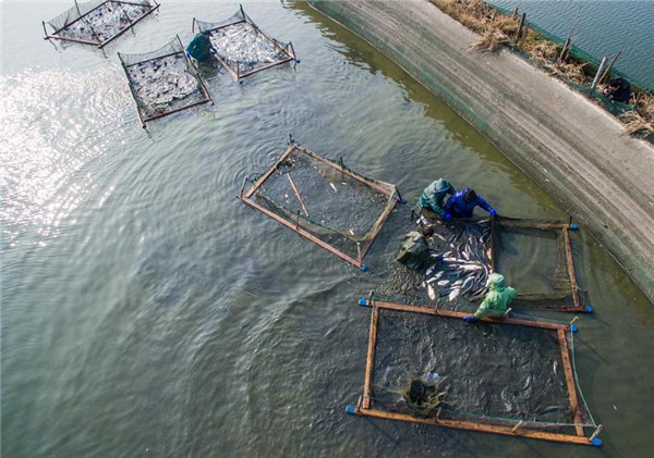 �㽭���ˣ�������֮�硱�������ꡰ���ռ���