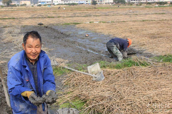 �㽭ʡ̨���л�����Ժ��ݩ����������