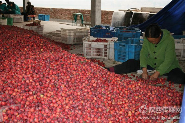 ��װ�����