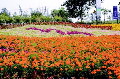 �Ĵ�¡����ũ��ͷ���촴��·�����á���ũ������