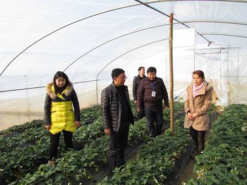 �Ĵ�ͨ����ũҵ��չ��ǰũ��Ʒ������ȫѲ��