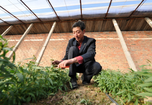 �����γأ���ʩ����������ܫũ������