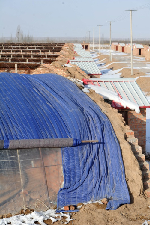 �����γ��ػ��������������ʩ���2��17���㣩