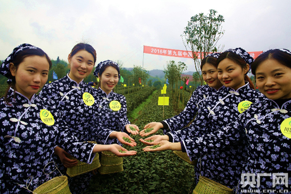 �Ĵ��˱��������һ��������԰��ժ