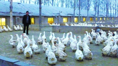 �������������Ӽ��Ѽ���;���