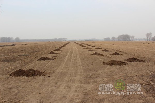 ����������������׼��