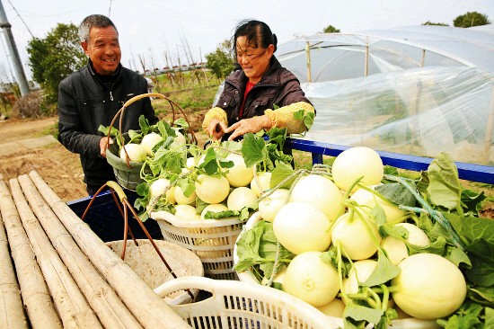 �㽭���룺�����������