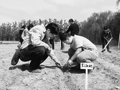 ������ר�ҵ�ͷ�̶���ũ������