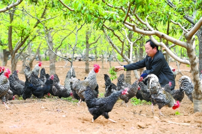 ������ƽ����������ѭ������